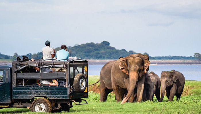 A Travel Agent’s Comprehensive Guide to the Treasures of Sri Lanka